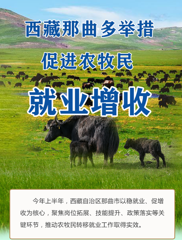 wechat_2025-09-08_211928_948.png