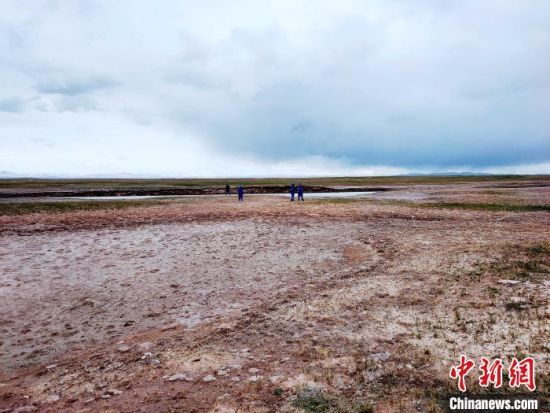 圖為救援力量在青海省西部搜救失聯(lián)的江蘇南京某大學(xué)女生黃某某。海西州藍(lán)天應(yīng)急救援中心 供圖