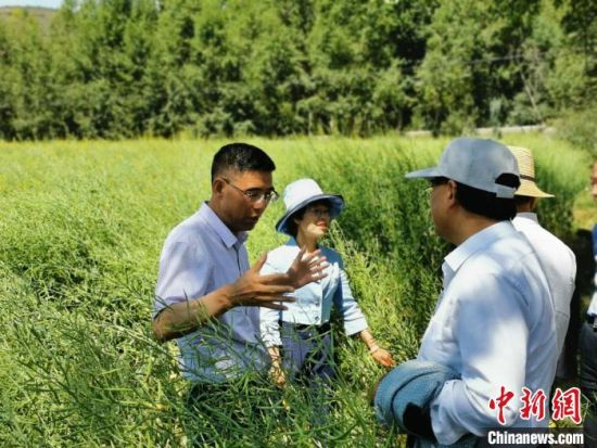 圖為九三學社青海省委主委杜德志(左一)在基層調(diào)研。受訪者供圖