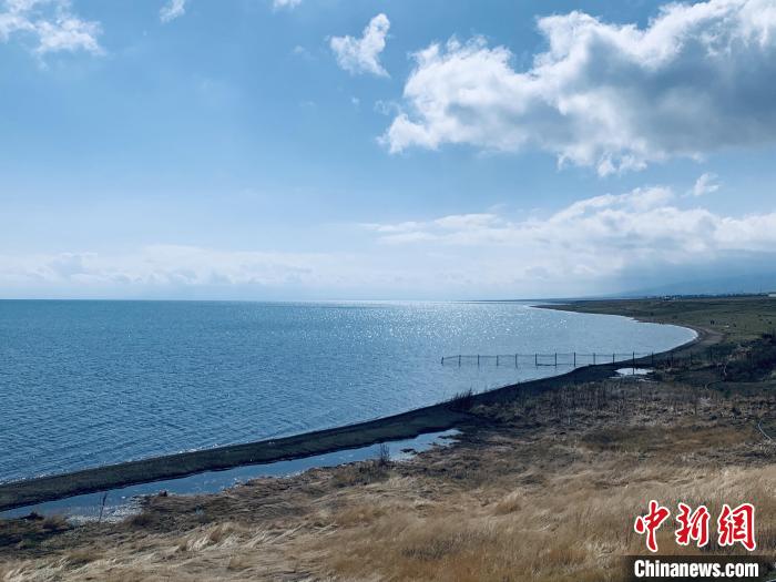 圖為青海湖畔。(資料圖) 張傲 攝