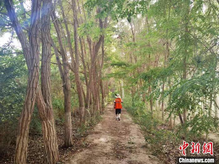 戈壁灘上的護林員：以前風(fēng)吹睜不開眼，現(xiàn)在滿眼皆綠色