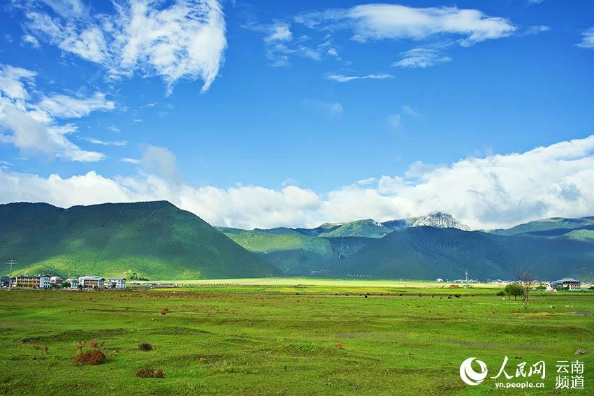 納帕海濕地風(fēng)景。呂昊辰攝