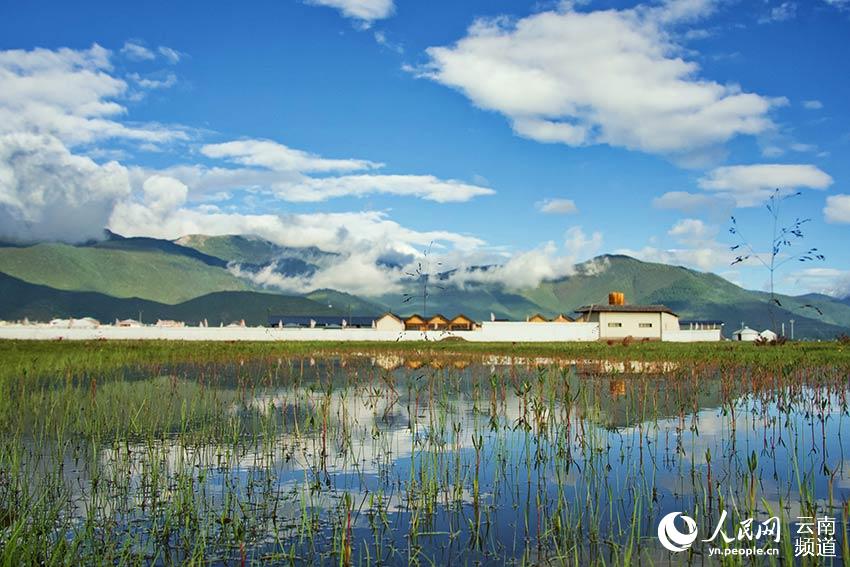 納帕海濕地風(fēng)景。呂昊辰攝