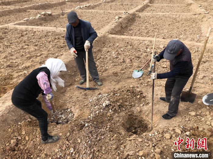 資料圖為建行青海省分行綠化區(qū)施工隊(duì)隊(duì)員處理亂石。　建行青海省分行供圖