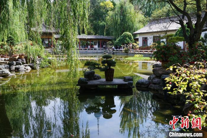 圖為西寧園林植物園秋日風(fēng)景別有韻味?！●R銘言 攝