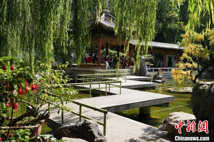 圖為西寧園林植物園秋日風(fēng)景別有韻味?！●R銘言 攝