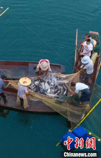 捕魚現(xiàn)場?！≈鬓k方供圖