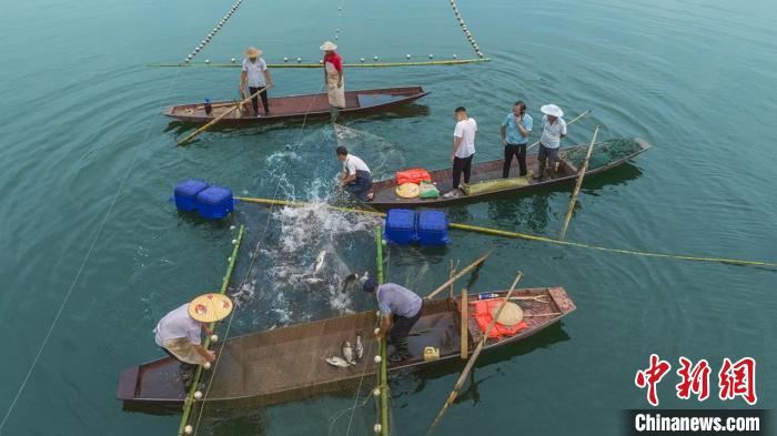 捕魚現(xiàn)場。　主辦方供圖