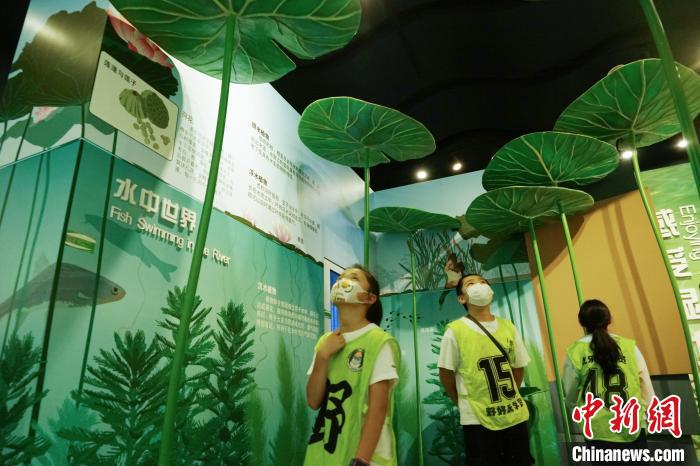 圖為小朋友在青海西寧湟水國家濕地公園科普館內(nèi)參觀學(xué)習(xí)?！●R銘言 攝