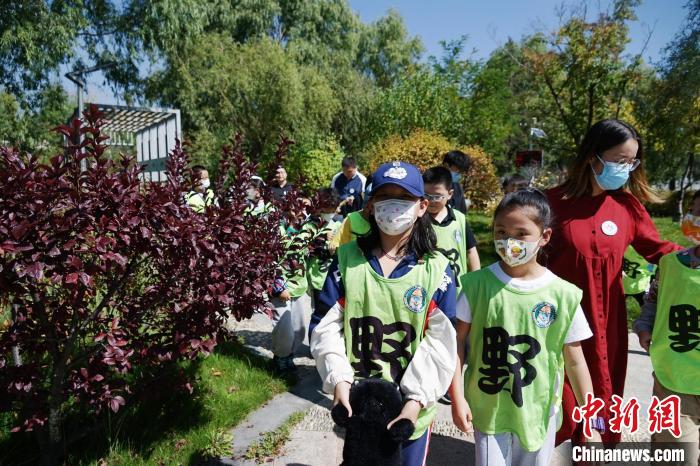 圖為小朋友在青海西寧湟水國家濕地公園內(nèi)認(rèn)識植物。　馬銘言 攝