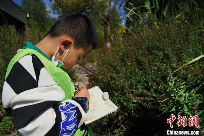 圖為小朋友在青海西寧湟水國家濕地公園內(nèi)認(rèn)識植物并進(jìn)行繪畫?！●R銘言 攝
