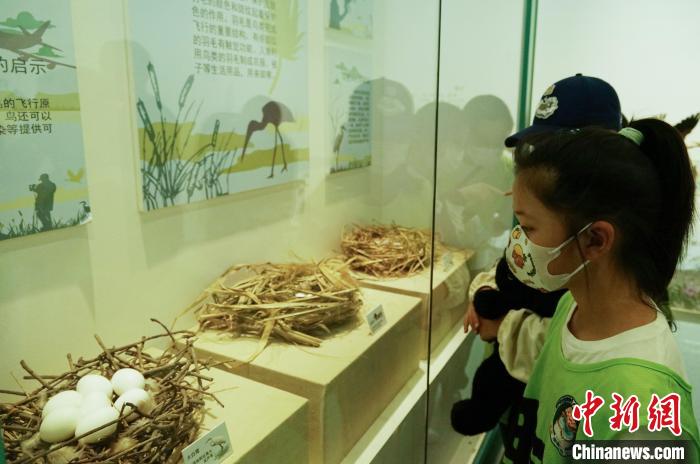 圖為小朋友在青海西寧湟水國家濕地公園科普館內(nèi)參觀學(xué)習(xí)?！●R銘言 攝