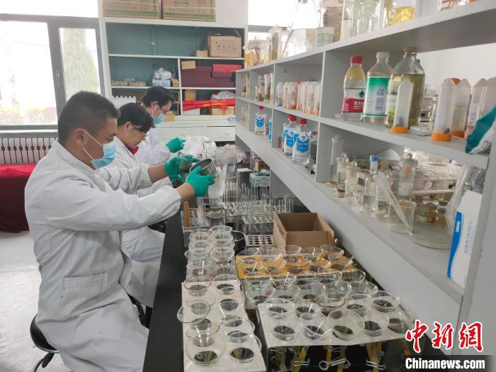 資料圖為研究團隊進行樣本檢查?！?青海省畜牧獸醫(yī)科學(xué)院供圖