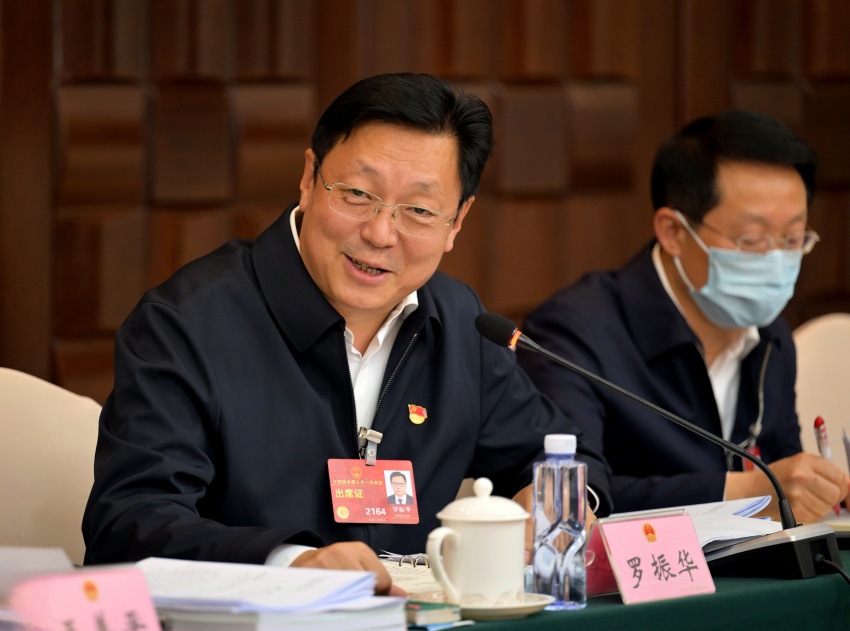 全國(guó)人大代表羅振華。