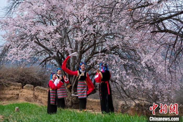 桃花樹(shù)下開(kāi)心玩耍的女孩們。　劉忠俊 攝