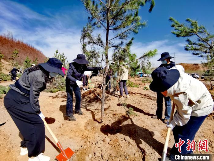 圖為西寧市城東區(qū)干部職工參加義務植樹?！?zhí)砀?攝