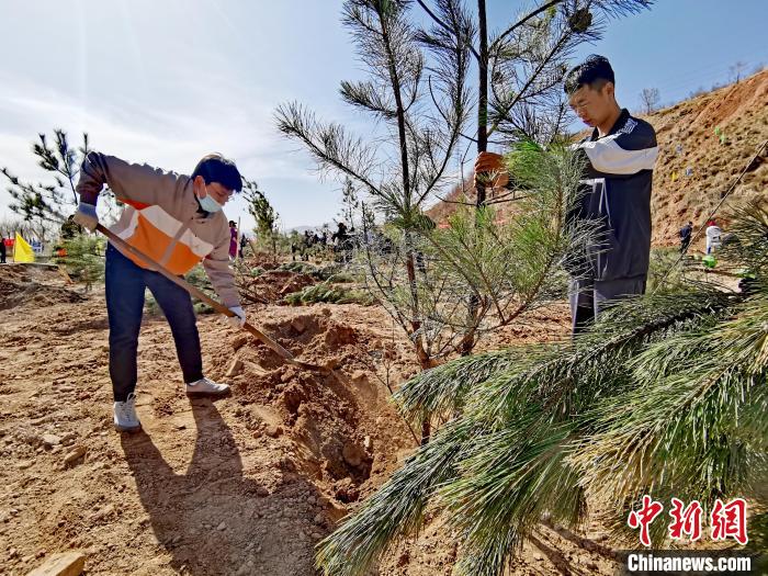 圖為西寧市城東區(qū)義務植樹活動現(xiàn)場?！?zhí)砀?攝