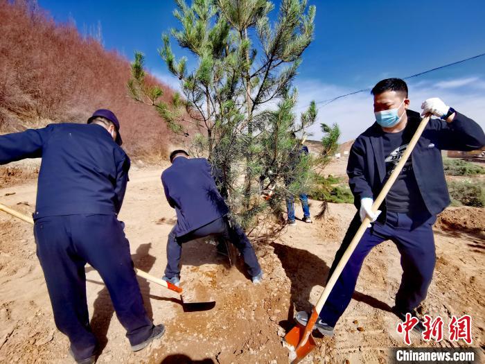圖為西寧市城東區(qū)義務植樹活動現(xiàn)場。　張?zhí)砀?攝