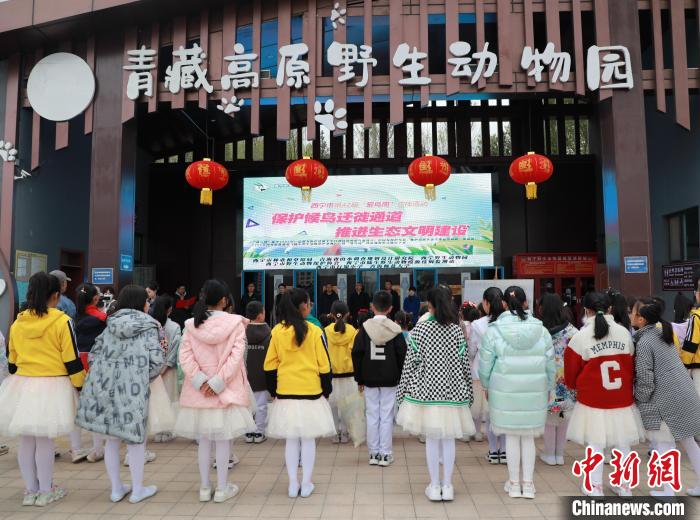 圖為青海省西寧市開展第42屆“愛鳥周”科普宣傳活動?！●R銘言 攝
