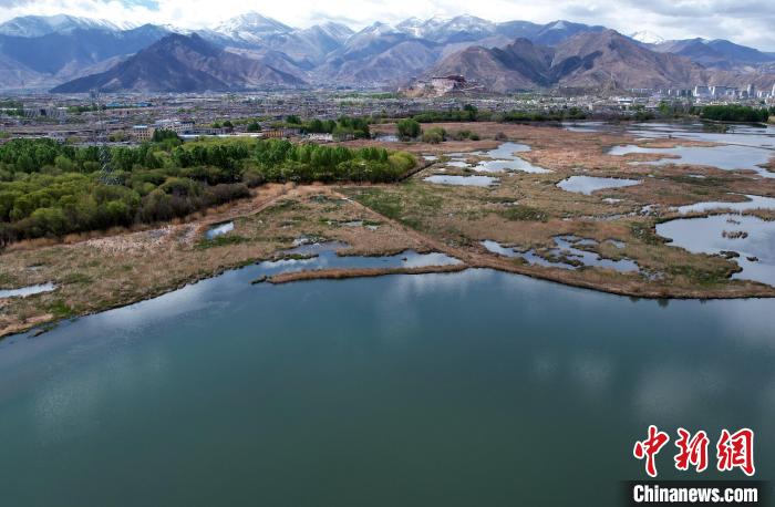 圖為拉薩拉魯濕地。(無人機(jī)照片) 李林 攝