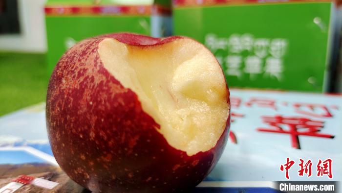 圖為通麥村特色甜心蘋果?！∝暽＠?攝