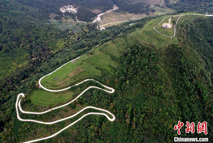 圖為西藏林芝市墨脫縣背崩鄉(xiāng)格林村山頂?shù)木坝^茶園。(無人機照片) 李林 攝