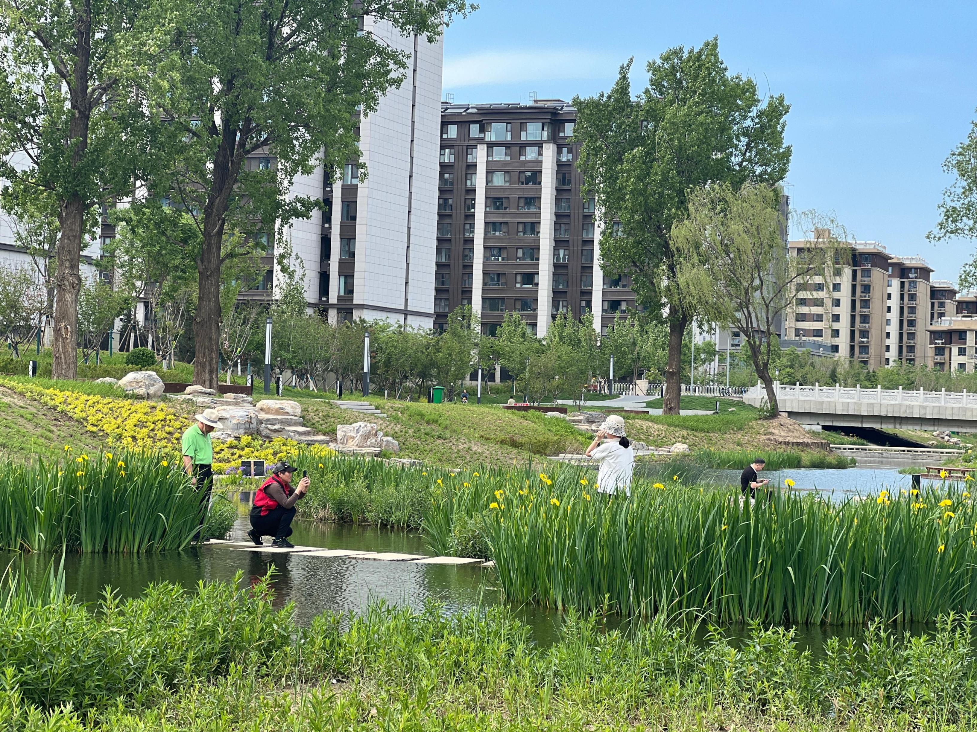 五一渠生態(tài)濱河公園內(nèi)，市民正在拍照留念。人民網(wǎng) 歐陽易佳攝