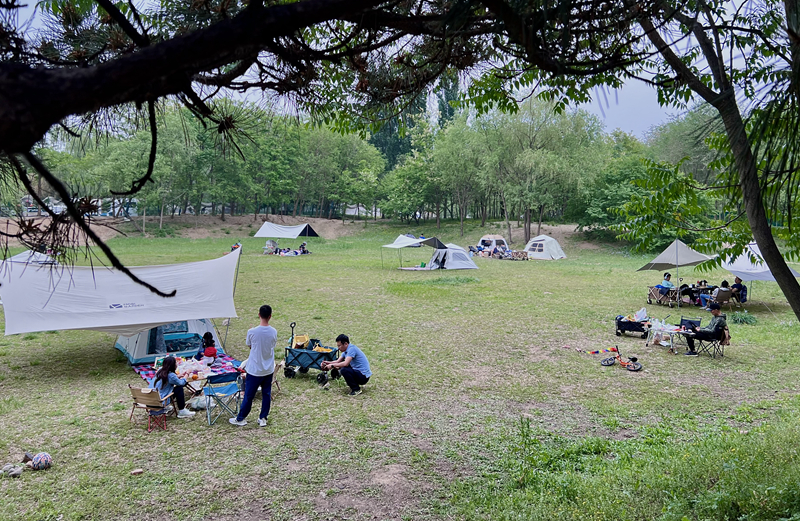 “自駕+露營”等多元模式受熱捧。人民網(wǎng)記者 王連香攝