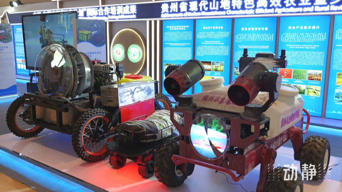 展示成果分享經(jīng)驗(yàn)，中國(guó)—東盟教育交流周深化合作共創(chuàng)未來！
