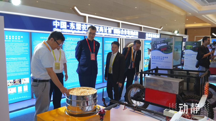 展示成果分享經(jīng)驗(yàn)，中國(guó)—東盟教育交流周深化合作共創(chuàng)未來！