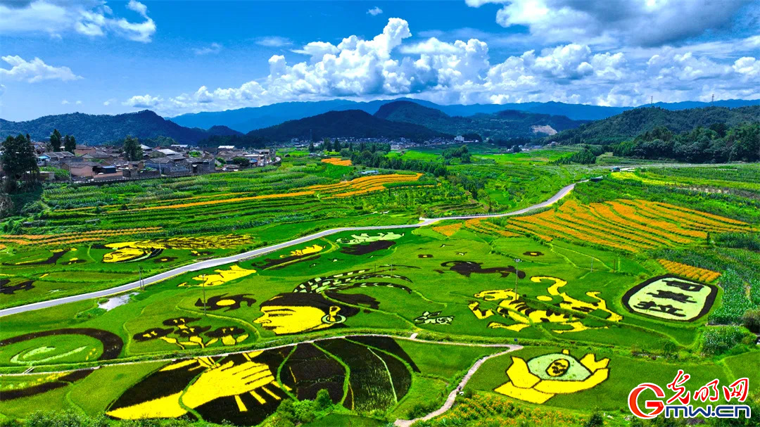 云南清水：延伸公共法律服務(wù)觸角，讓普法與民族團結(jié)進步互促共融