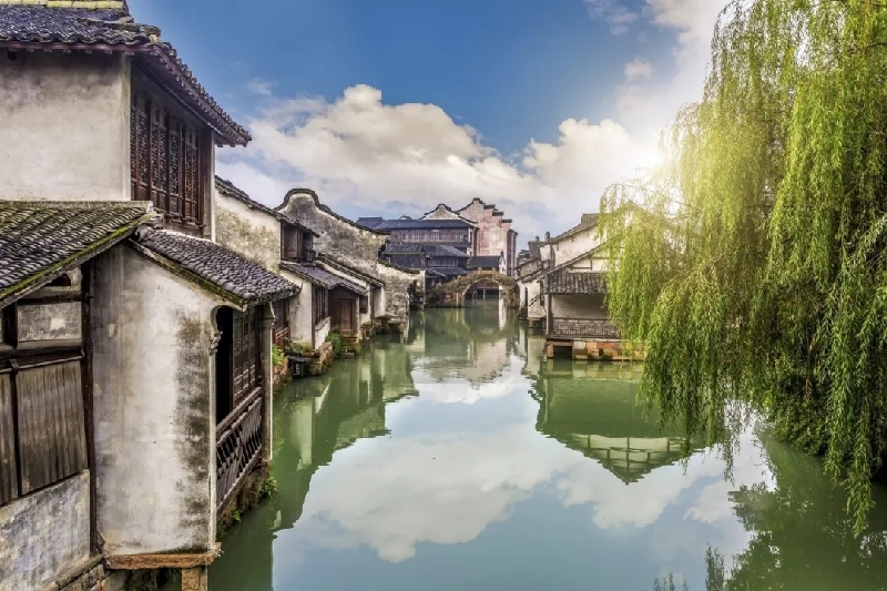 烏鎮(zhèn)動觀察｜這個字，牽起國際交流互鑒之紐帶