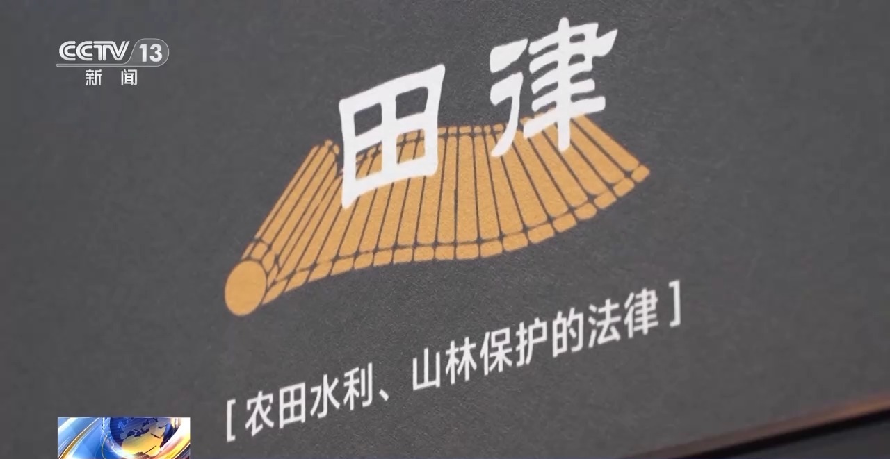 文化中國行丨最早的法典、家書、乘法表……千年簡牘中讀懂歷史的“大事件”“小細節(jié)”