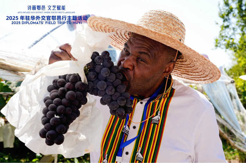 智慧“種”進(jìn)葡萄園 駐華外交官品讀鄉(xiāng)村振興“中國甜”_fororder_圖片9
