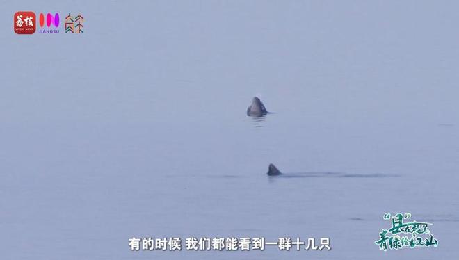 “縣”在起筆 青綠繪江山 | 江灣沐曉：褪去“銹色”走“金線”，繡出生態(tài)與產(chǎn)業(yè)“雙面錦”