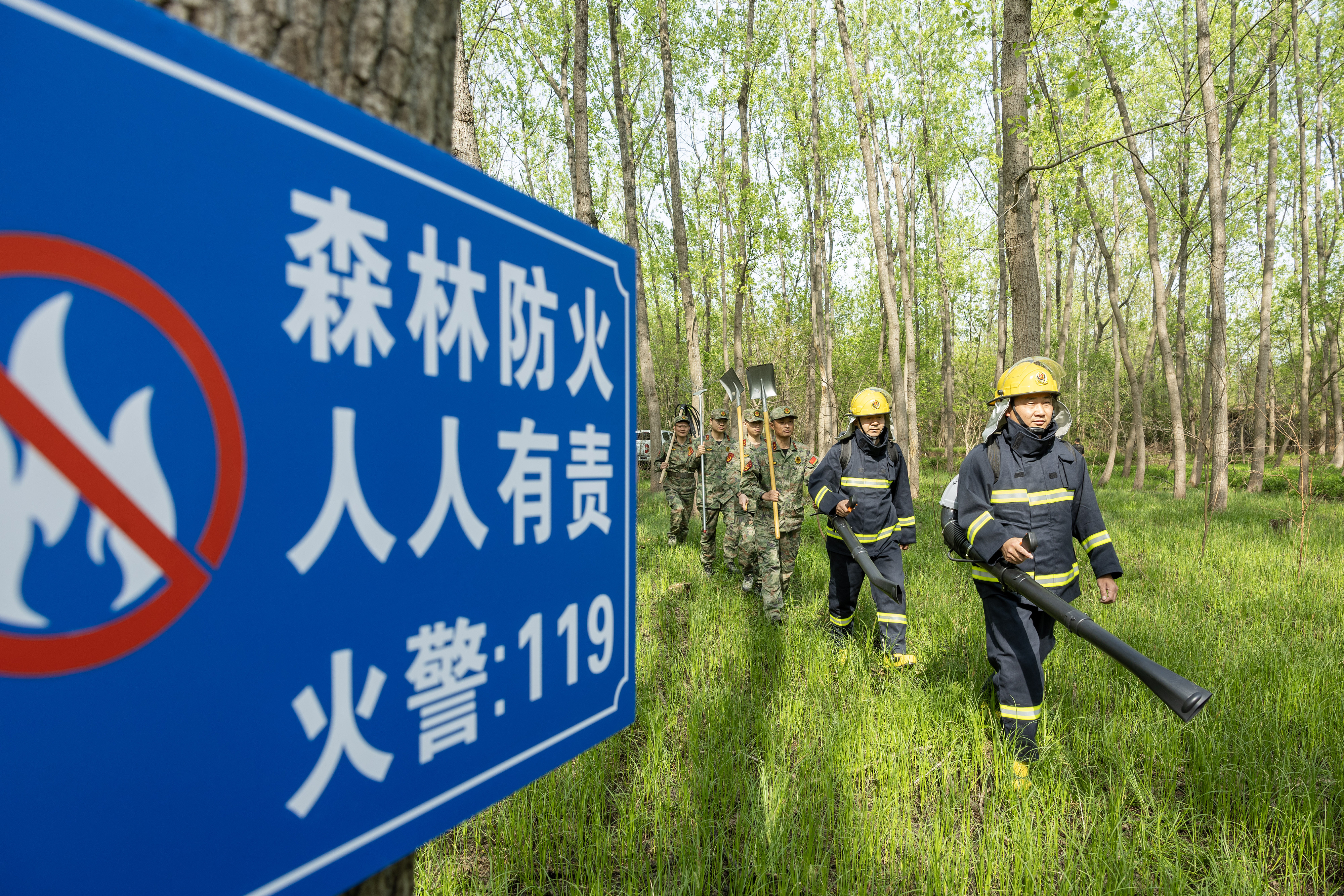 2024年4月9日，合肥市大房郢水庫水源保護(hù)地廬陽經(jīng)濟(jì)開發(fā)區(qū)段，基干民兵正在林間巡查火災(zāi)隱患。
