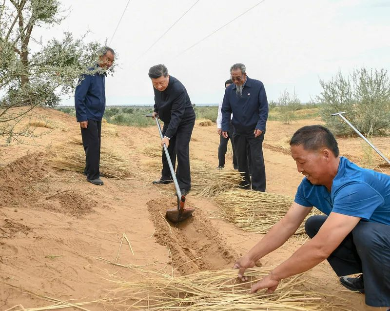 2019年8月21日，習(xí)近平來到甘肅省武威市古浪縣八步沙林場，實(shí)地察看當(dāng)?shù)刂紊吃炝?、生態(tài)保護(hù)等情況。新華社記者 謝環(huán)馳 攝