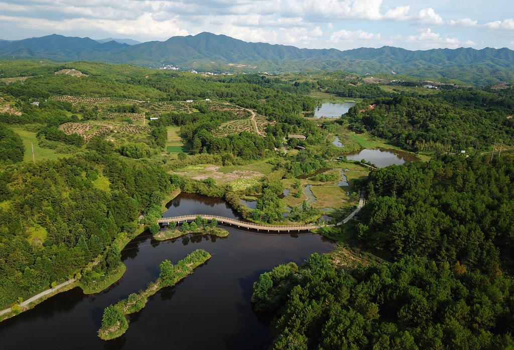福建省龍巖市長(zhǎng)汀縣的長(zhǎng)汀汀江國(guó)家濕地公園景色（2020年7月28日攝，無(wú)人機(jī)照片）。新華社記者 魏培全 攝