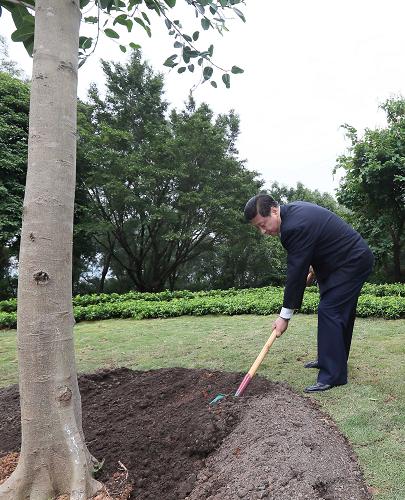 2012年12月7日至11日，習(xí)近平在廣東省考察工作。這是8日上午，習(xí)近平在深圳蓮花山公園種下一棵高山榕樹。新華社記者 蘭紅光 攝