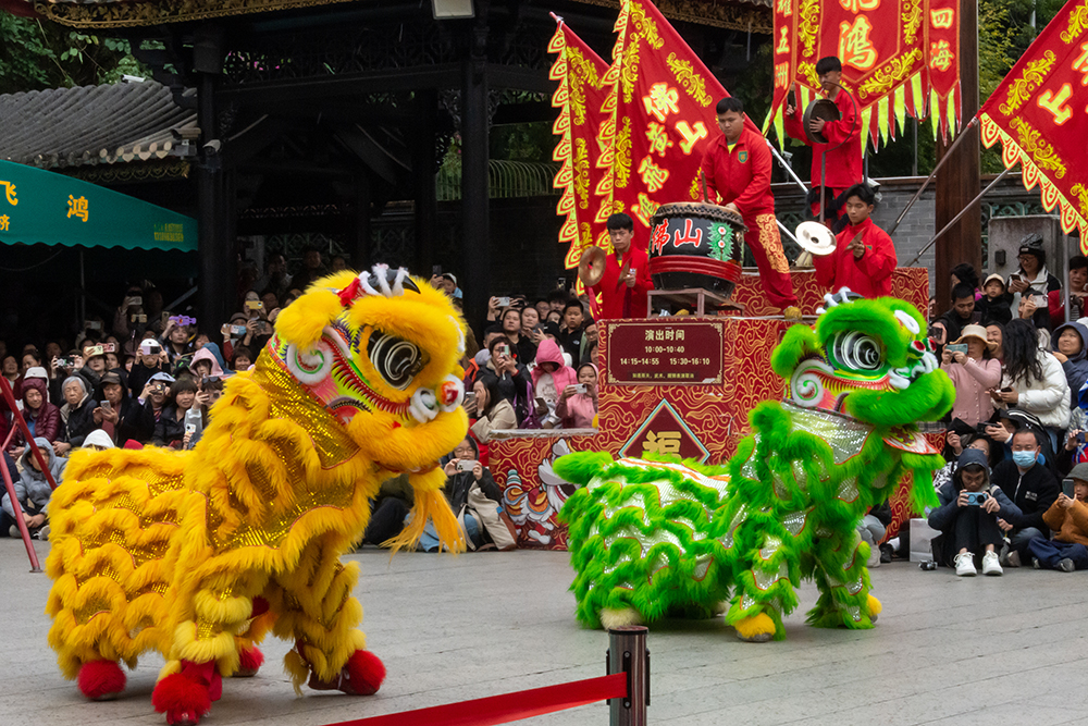 圖為廣東省佛山市祖廟的醒獅表演。