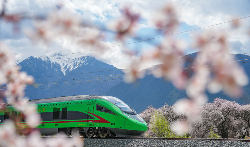 2025年4月2日，復(fù)興號(hào)列車穿行在拉林鐵路林芝段。