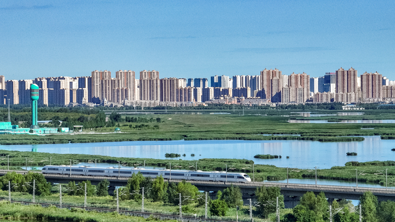 2025年8月17日，一列動車組列車駛過大慶東站。