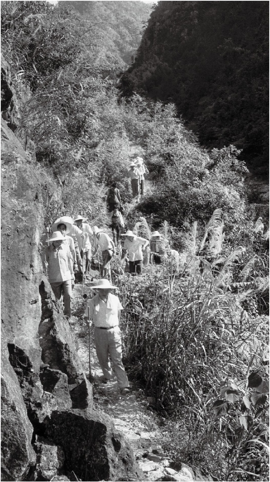 1989年7月，習(xí)近平一行到壽寧縣下黨鄉(xiāng)調(diào)研。