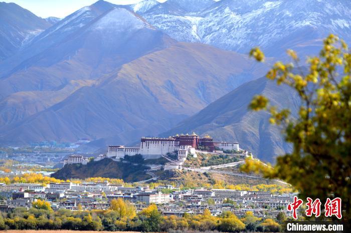 10月24日，雪山、布達(dá)拉宮和秋色組成“風(fēng)景畫”?！〗w波 攝