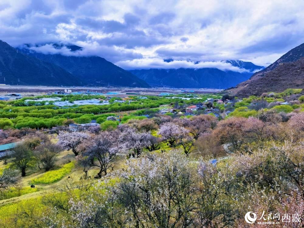 桃花從中的“童話小鎮(zhèn)”。人民網(wǎng) 李海霞攝