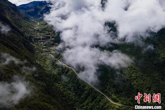 西藏山南勒布溝景區(qū)的盤山公路被云霧環(huán)繞?！〗w波 攝