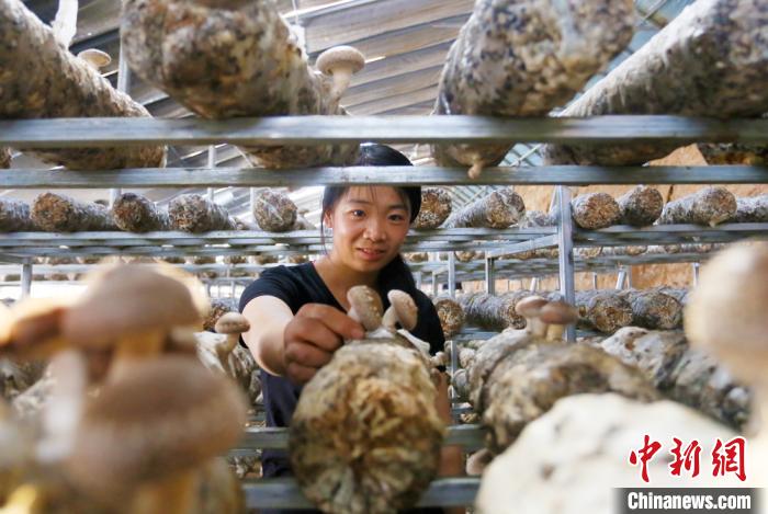 甘肅天?！跋愎椒蚱蕖毕律饺氪ǎ捍笈锢镉板X景”