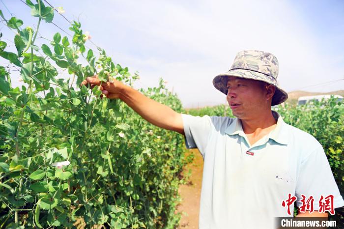 當?shù)鼐用駨埡Ａ衷谧约彝愣固锢锊烧?。　高?攝