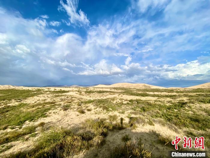 圖為關停四年后的沙島景區(qū)現(xiàn)狀。　李江寧 攝