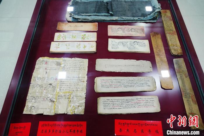 圖為藏醫(yī)古集文獻和藏醫(yī)臨床原始手稿?！●R銘言 攝